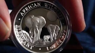 2014 Silver High Relief African Wildlife Elephant