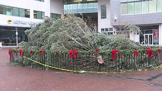 Downtown Boise's holiday tree lighting rescheduled