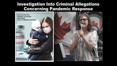 Investigation into Criminal Allegations Concerning Pandemic Response