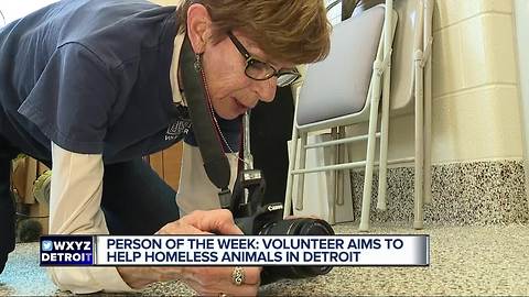 Person of the Week: Volunteer aims to help homeless animals in Detroit