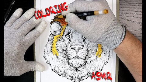 ASMR Coloring - The King Of The Jungle
