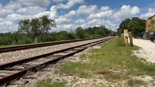 Blue Suncoast Train in Florida