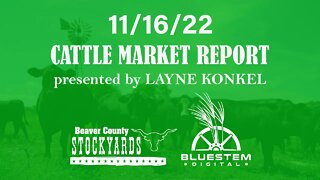 11/16/22 Beaver County Stockyards Cattle Market Report