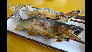 Fresh Japanese Grilled Fish with a stunning river view - Funabatei restaurant in Nikko 船場亭 鬼怒川