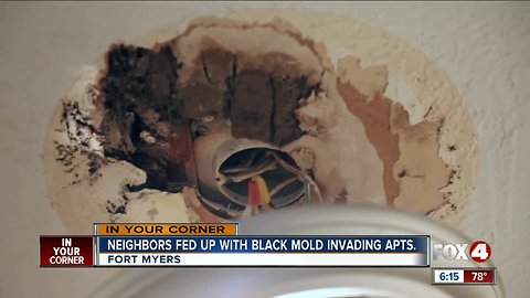 Residents claim black mold invading apartment in Fort Myers