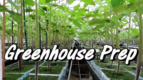 Hydroponic Farming | Final Greenhouse Preparation Before Transplanting! | Wishwell Farms Vlog 4