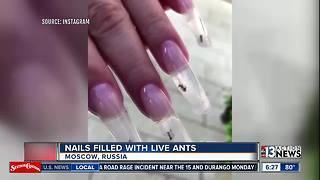 Salon putting live ants into nails