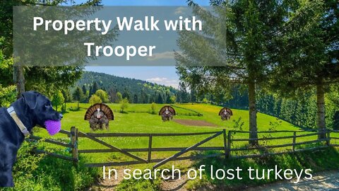 #2 Property walk with Trooper