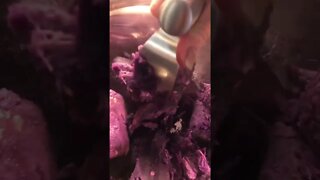 Hot Purple Squishy 💜 #shorts #viral #trending #tiktok #garden