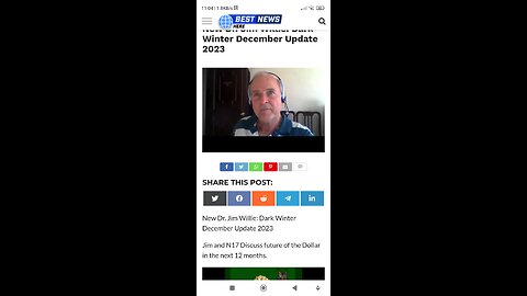 Nesara 17 interview with economist Dr. Jim Willie, on the near future of the dollar