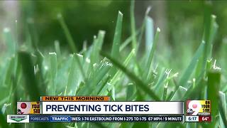 How you can prevent ticks this summer