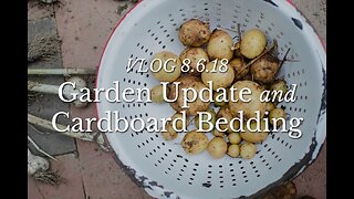 VLOG 8.6.18 | Garden Update and Cardboard Bedding