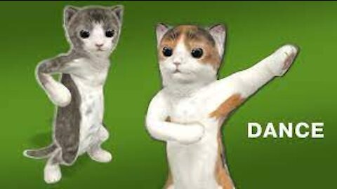 🤣 Funny cat dancing 😂#shorts seo tiktok funny videos