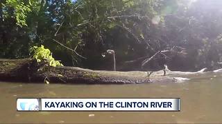 Kayaking on the Clinton River