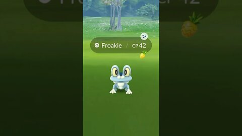 Shiny Froakie! #pokemon
