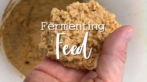 Details of Fermenting Food