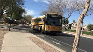 Bus T207 turning.