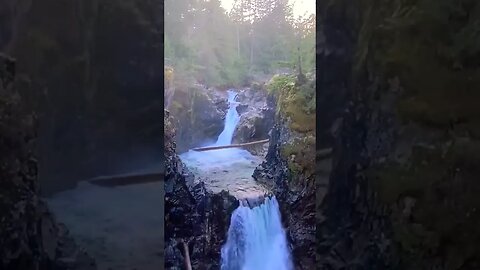 Let Qualicum Falls put you to sleep! #shorts #amsr #nature #fallasleep