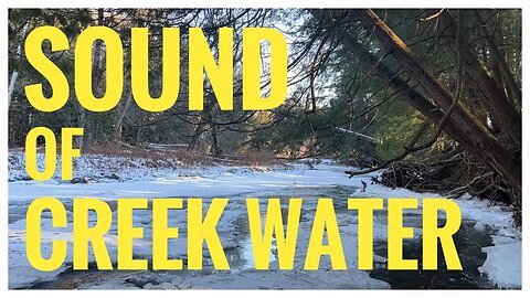 Sound of Creek Water | Greenwood Conservation Area | Ajax, ON Canada | Relaxation | Nature Sound