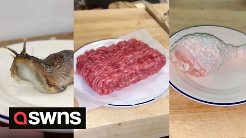 Cake artist creates hyper-realistic cakes that look like raw meat and even a slug