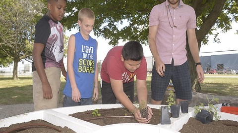 Wayne Township schools learn about fresh food through learning gardens