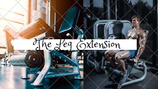 Leg Extension Machine Mechanics