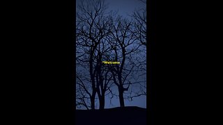 UFO encounter story