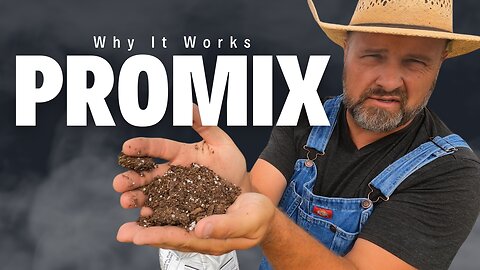 Revolutionize Your Garden: Our 5-Year Journey with Pro-Mix BX Mycorrhizae Growing Mix!