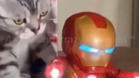 Funny Cats! 😹 Watch the #Avengers Battle 'CATastrophic' 🤺 (#176) #Clips