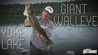 Fishing for Giant Walleye on Yoke Lake