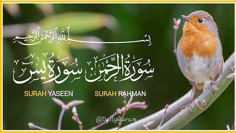 036 Surah Yaseen |SURAT YASEEN سورۃںیس FULL |Episode 3| Daily Yaseen Tilawat