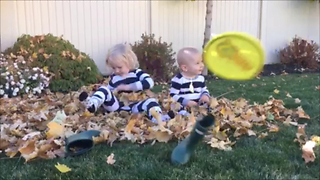 Soft frisbee nails cute kid in the head playing in the leaves... SO FUNNY!!!