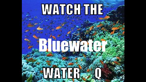 WATCH THE (BLUEWATER) WATER Q DIGITAL SOLDIER CALL OF DUTY