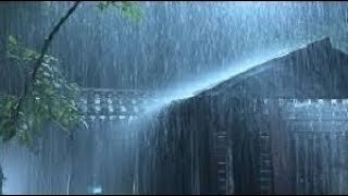 Immediate Relaxing Sleep with Heavy Rainfall on Tin Zinc Roof and Loud Thunder