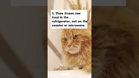 10 tips to store and prepare raw cat food safely #shorts