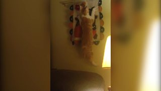 "Funny Cat Hangs From Fabric Piece on Wall"