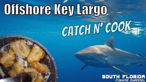 Fishing 17+ hours offshore Key Largo | Beer Battered Fish Catch N Cook