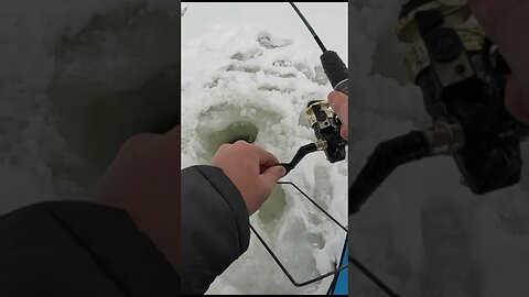 Close Call on the Ice