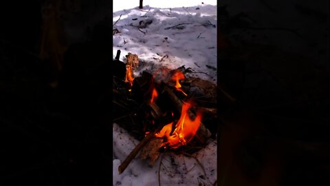 Winter Solo Camping. Overnight Bushcraft Tarp Shelter in Upstate New York. #shorts
