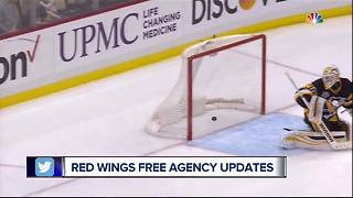 Red Wings eye veteran depth in free agency: Filppula, Vanek, Bernier