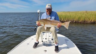 21.9 Pound Bull Redfish on a FLY ROD!! #shorts