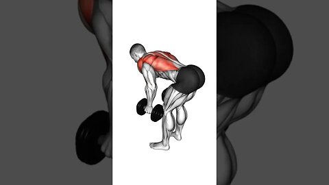 Split day workout: biceps/back with dumbbells