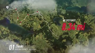 DiRT Rally 2 - Golf Kitcar Stumbles at Zienki