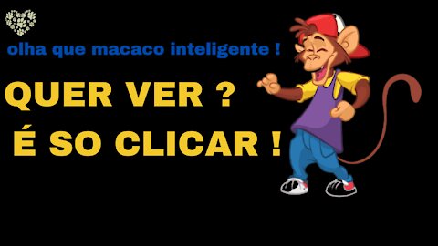 MACACO INTELIGENTE