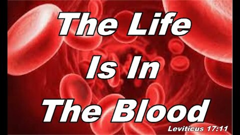 Life Is In The Blood - Communion #9