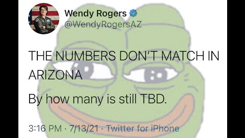AZ Audit: Numbers Don't Match, 10 Days, VoterGA Exposes Major Election Fraud
