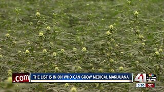 State awards six KC businesses license to grow medical marijuana