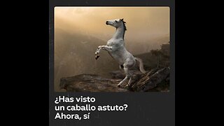 El ingenioso escape de un caballo