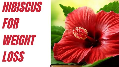 hibiscus for weight loss
