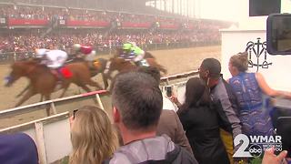 Justify wins Preakness Stakes